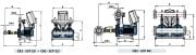 PEDROLLO CB2 - 2CP 25 / 14A  Çift Pompalı Paket Hidrofor (Genleşme Tankı Hariç)  2 HP , 67 Mss , 13,2 m3/h