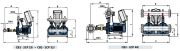 PEDROLLO CB2 - 2CP 40 / 180B  Çift Pompalı Paket Hidrofor (Genleşme Tankı Hariç)  7,5 HP , 76 Mss , 48 m3/h