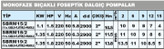 SUMAK SBRM 15/2 Paslanmaz Gövdeli Bıçaklı Foseptik Dalgıç Pompa (Monofaze - 1.5 HP)