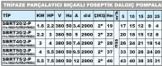 SUMAK SBRT 20/2-P Döküm Gövdeli Parçalayıcılı Foseptik Dalgıç Pompa  (Trifaze) (2.2 Hp)