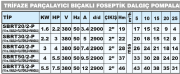 SUMAK SBRT 50/2-P Döküm Gövdeli Parçalayıcılı Foseptik Dalgıç Pompa (Trifaze) (5,5 HP)