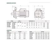 City Pumps ICB 150 HM Çift Kademeli Santrifüj Pompa (Monofaze) (1.5 Hp)