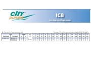 City Pumps ICB 400/32 Çift Kademeli Santrifüj Pompa (Trifaze) (4 Hp)